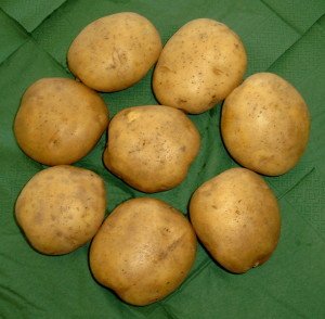  Bild von Kartoffeln 