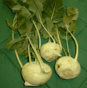  Bild von Kohlrabi 