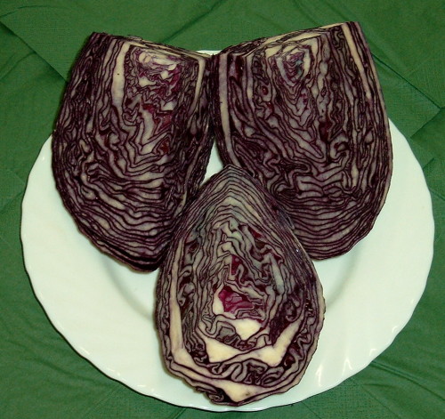  zurück zu Rotkohl