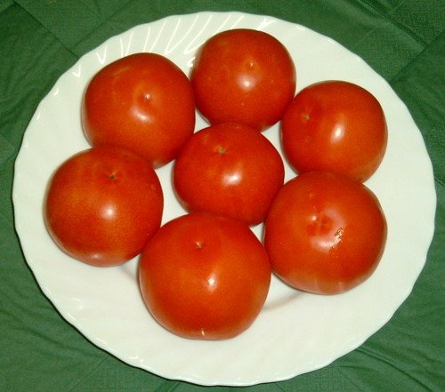  zurück zu Tomaten
